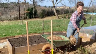 Inis Moestuin 45 Moestuin opstarten bietjes zaaien amp kweek voortgang zoete aardappel [upl. by Yanehc]