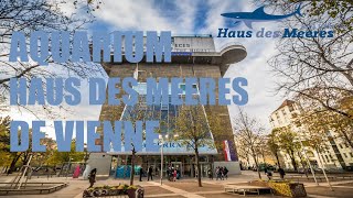 Lincroyable AQUARIUM de VIENNE en Autriche dans une tour de défense Nazie  HAUS DES MEERES [upl. by Aneleiram]