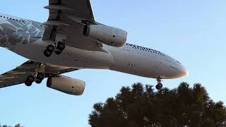 Hawaiian Airlines Airbus A330200 N382HA Honolulu HNL To Las Vegas LAS Landing 26L [upl. by Enylorac344]