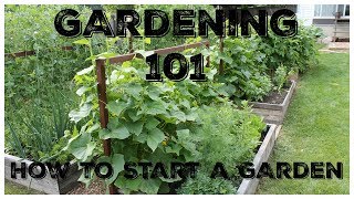 Gardening 101 How To Start A Garden [upl. by Asil]