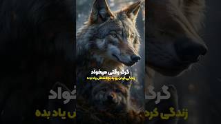 گرگ اینجوری زندگی کردن رو به بچه‌هاش یاد میده [upl. by Yoral623]