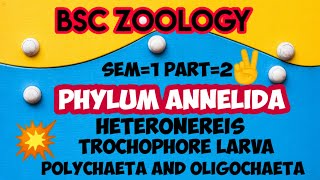 BSC ZOOLOGYANNELIDAHETERONEREISTROCHOPHOREIN മലയാളം [upl. by Yates]