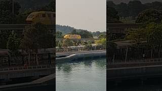 Sentosa Monorail shortvideo sentosasingapore sentosa [upl. by Nared]