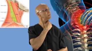 90Second Relief Technique for a Stiff Neck Wry Neck Torticollis  Dr Mandell [upl. by Letsirk]