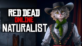 Leveling Up Naturalist Role in Red Dead Online 🐱 Stream [upl. by Freddie]