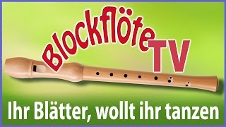 Ihr Blätter wollt ihr tanzen • barocke Blockflöte [upl. by Niran]