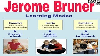 Bruners Cognitive development theory [upl. by Kcirded]