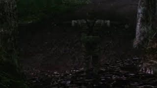 MGS3  Food Zip Glitch In Dremuchij Swampland [upl. by Aisatal]