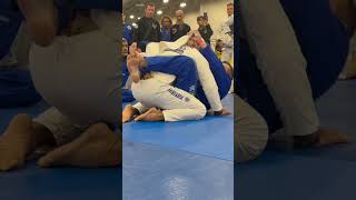 Brabo Choke from Closed Guard w André Mestré André “Dede” Pederneiras of Nova União bjj jiujitsu [upl. by Mukerji832]