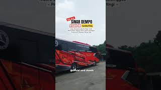 Newbus Sinar Dempo Sanutra AVANTE H8 tentram bussinardempobusmania ytshorts trending videoshort [upl. by Sibyls]