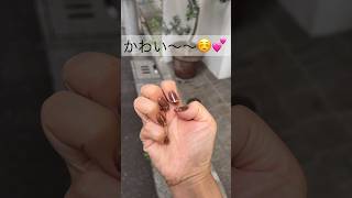 ネイルチップをつけておでかけ🥰ネイルチップ ネイル ネイルチップの付け方 ネイルやり方動画 つけ爪 うぐいす屋 [upl. by Nereil]