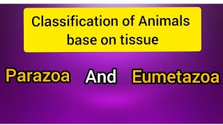 Criteria For Animals Classification Parazoa and Eumetazoa [upl. by Idur861]