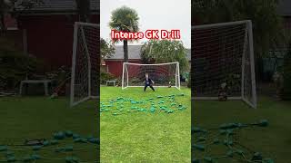 Goalkeeper Reaction Training‼️😮⚽️ shorts football [upl. by Munniks]