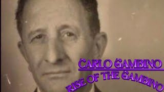 Carlo Gambino The Rise of the Gambino Documentary [upl. by Claudius]