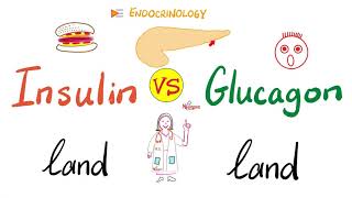 Insulin world vs Glucagon world  A Tale of Two Hormones  Feeding vs Fasting  Endocrinology [upl. by Giselle]