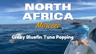 TopWater Bluefin Tuna  Popping in North Africa Morocco Tuna Paradise [upl. by Citarella394]