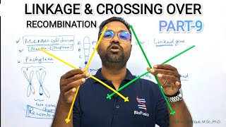 LINKAGE CROSSING OVER amp RECOMBINATION  সহলগ্নতা আৰু পাাৰংগতি PRINCIPLE OF INHERITANCE amp VARIATION [upl. by Pennebaker999]