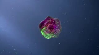 Flow Cytometry Animation [upl. by Llevert901]