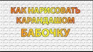 Видео Как нарисовать БАБОЧКУ карандашом поэтапно для начинающих [upl. by Ydnys]