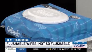 Local plumber advises against flushing “flushable” wipes 1 [upl. by Atiz364]