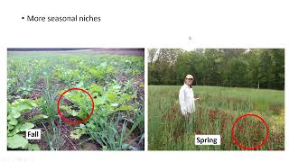 NECCC Webinar Cover Crop Mixtures vs Monocultures 91124 [upl. by Petracca326]