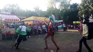 Danza del Torito Tonantzin  Chichimequillas Silao Gto 2017 [upl. by Hajidak]