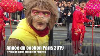 Année du cochon à Paris 17022019 [upl. by Hgielyk647]