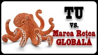 TU vs Marea Rețea Globală [upl. by Millhon]