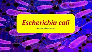 E coli  Escherichia coli  Infection  Intoxication  Pathology  Hindi  Food Microbiology [upl. by Aerdnaed]