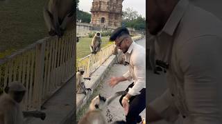 🐒🐒🐒 😂 isne to dara hi diya 😂pawansahu fitnessmotivation motivation funny [upl. by Meilen]