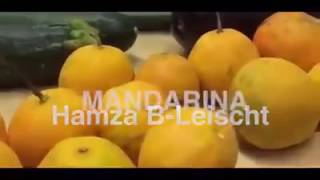 Miami Yacine  Kokaina 2 Kilo Mandarina Remix by Benaissa Lamroubal [upl. by Yelroc320]