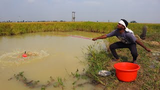 Fishing Video  Traditional boys prefer to admit fishing in small canals  Best hook fishing [upl. by Ahsiuqet685]