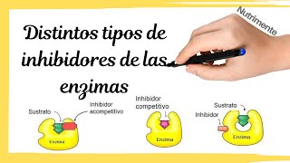 Tipos de INHIBIDORES de las ENZIMAS [upl. by Aiki84]