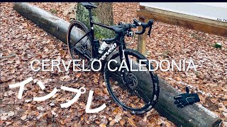 Cervelo Caledonia グラベルインプレッション [upl. by Barker475]