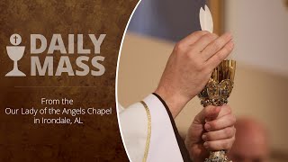 Catholic Daily Mass  Daily TV Mass  October 29 2024 [upl. by Carlen431]