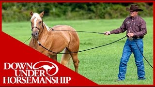 Clinton Anderson Training a Rescue Horse Part 1  Downunder Horsemanship [upl. by Civ]