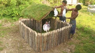 Build Rabbit House using wooden and mud [upl. by Caassi718]