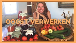 OOGST VERWERKEN  Tomatensaus amp Zure Bietjes  MOESTUIN  Wat doe ik met zoveel oogst [upl. by Oilasor763]