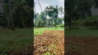 269 Commercial plot for sale at anjur  kunnamkulam thrissur [upl. by Lopes]