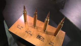 Introducing the 26 Nosler Ammo [upl. by Rahsab]