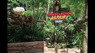 Sunway Lagoon Wildlife Park [upl. by Bilek]