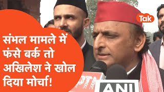 Sambhal Jama Masjid Update  संभल हिंसा में फंसे सांसद बर्क तो अखिलेश यादव ने खोल दिया मोर्चा [upl. by Dutchman]