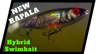 NEW RAPALA XRAP Swimbait Underwater Action review XRap Peto [upl. by Koerlin]