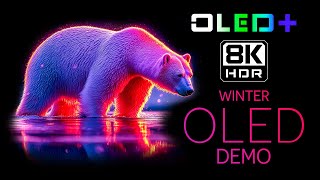 BEST OLED TEST  Nature in Winter in 8K HDR  Dolby Vision™ [upl. by Micaela104]