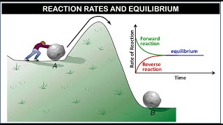 reaction rates and equilibrium [upl. by Sirrom]