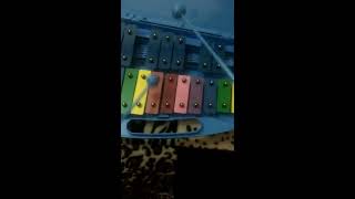 Bala TripuramaniBrahmotsavamxylophone [upl. by Mccandless]