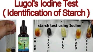 Iodine Test for Starch  Biochemistry Lab Experiment [upl. by Ring]