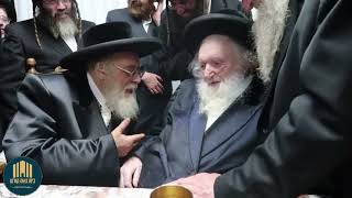 Toldos Aharon Rebbe Visiting R Moshe Sternbuch  Tammyz 5783 [upl. by Bloom256]