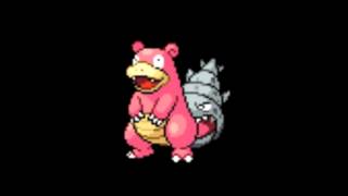 Pokemon Cries  080 Slowbro [upl. by Anwahsad]