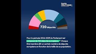 Comprendre le fonctionnement du Parlement européen [upl. by Starlin48]